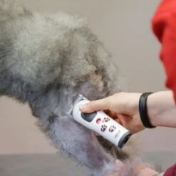 Aesculap Aesculap Akkurata Cordless Trimmer -Daily Necessities Store aesculap akkurata cordless trimmer p10316 14414 medium