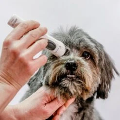 Aesculap Aesculap Exacta Cordless Trimmer -Daily Necessities Store aesculap exacta cordless trimmer p35 14419 medium