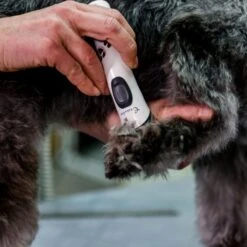 Aesculap Aesculap Exacta Cordless Trimmer -Daily Necessities Store aesculap exacta cordless trimmer p35 14420 medium