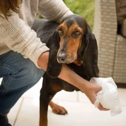 Aqueos Aqueos Disinfectant Wipes -Daily Necessities Store aqueos disinfectant wipes p1179 14369 medium