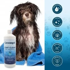 Groomers Coat Care Coat Clean Shampoo 1L -Daily Necessities Store groomers coat care coat clean shampoo 1l p17811 14253 medium