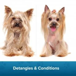 Groomers Coat Care Coat Management Spray Refill 1L -Daily Necessities Store groomers coat care coat management spray refill 1l p17807 14176 medium