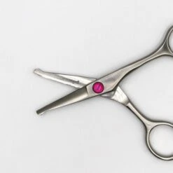 Groomers Ophelia Groomers Ophelia 4.5" Bull Nose Scissors -Daily Necessities Store groomers ophelia 45 bull nose scissors p17329 11355 medium