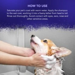 Wahl Wahl Diamond White Shampoo -Daily Necessities Store wahl diamond white shampoo p3796 13463 medium